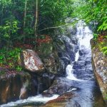 Neluwa Doowili Ella Falls