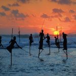 Stilt Fishing