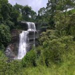 Thaliya Watuna Falls