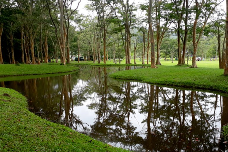 Seethawaka Botanical Garden | Attractions in Sri lanka