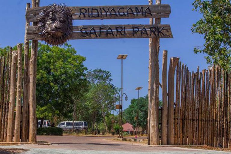 ridiyagama safari park contact number sri lanka colombo
